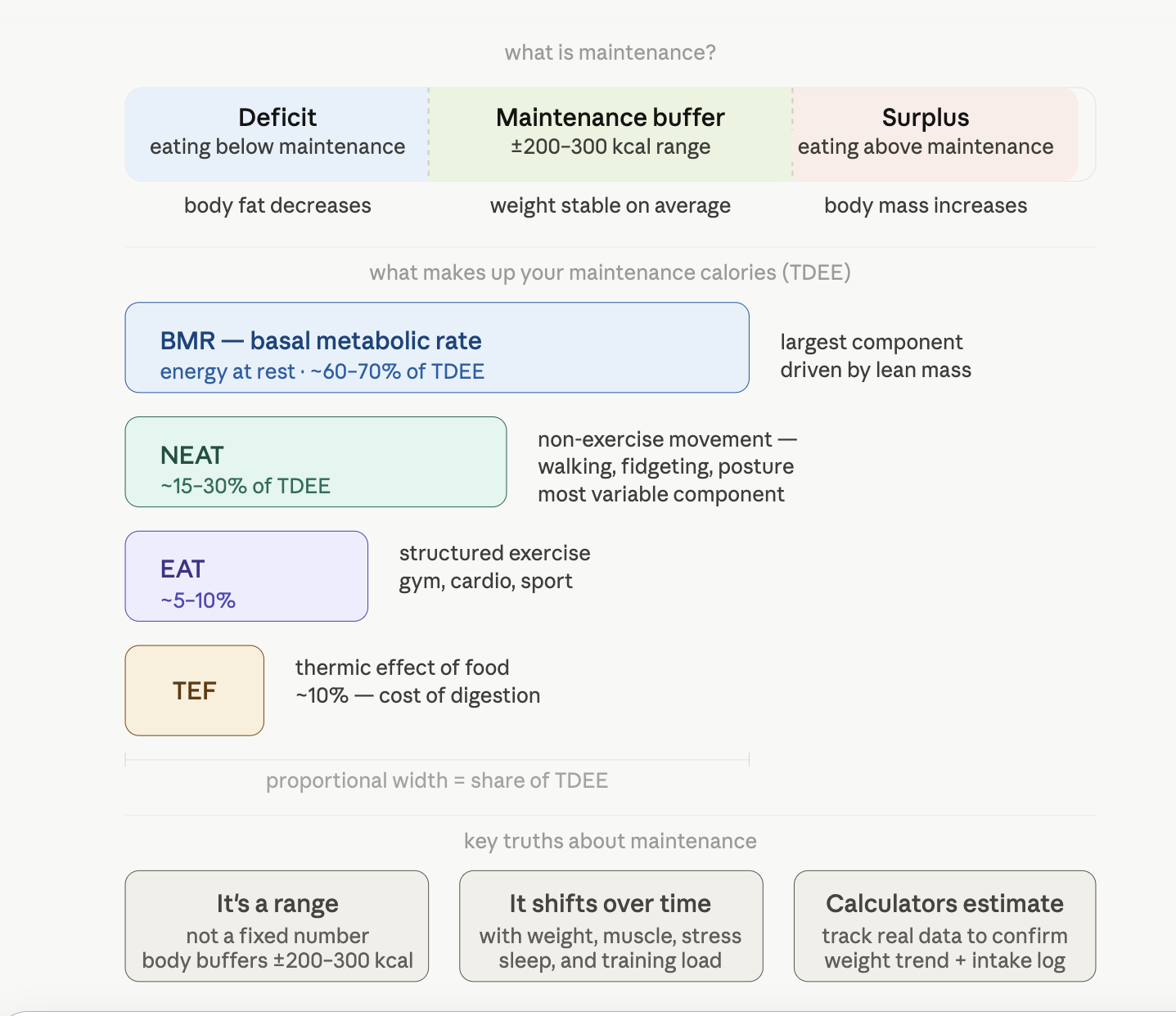 What Are Maintenance Calories and Why They Matter