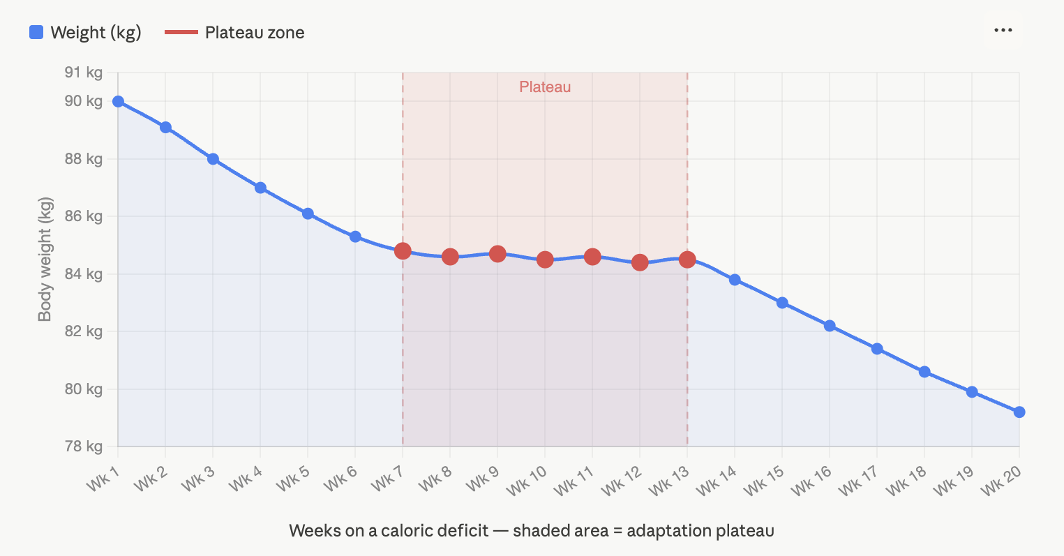 Why weight-loss plateaus happens & how to break it