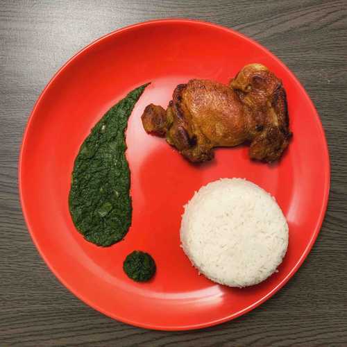 grilled chicken with spinach sauce