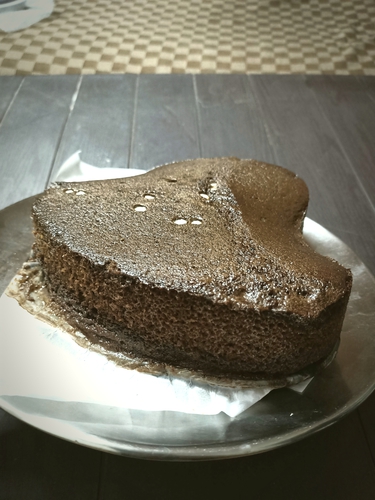 Whey protein wheat flour cake
