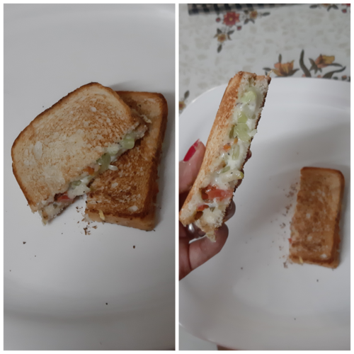 Cheese Sandwich