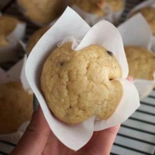 Chocolate Chip Protein Muffins