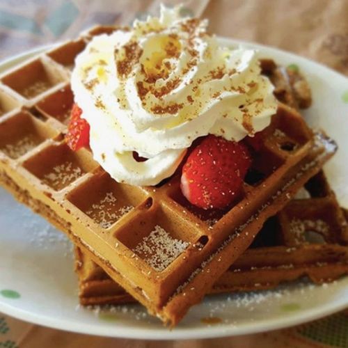 Chocolate Whey Waffles
