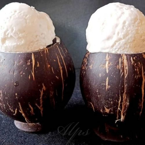 Natural Coconut Ice cream