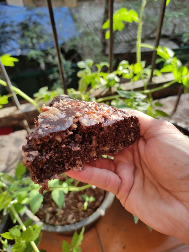 Chocolate Banana Bread (High Protein)