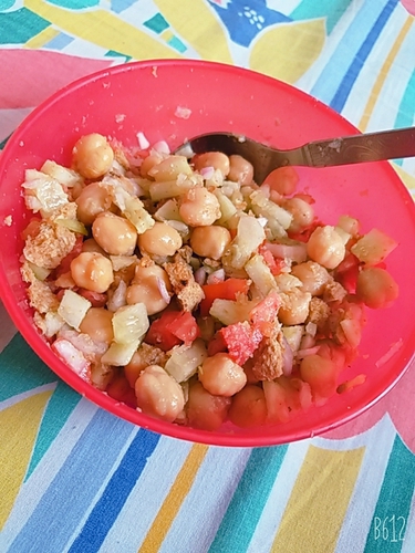 Soyachunks Chickpeas chat