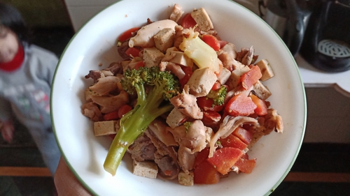 Chicken and Tofu Meal