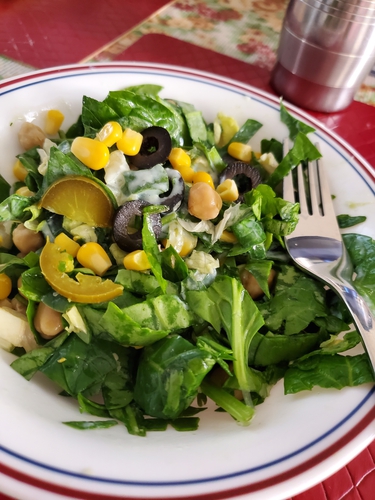 Palak Chana Salad