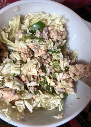 Napa cabbage , chicken and quinoa salad