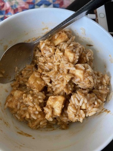 Panner curry with rice