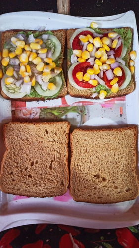 healthy veggies sandwich