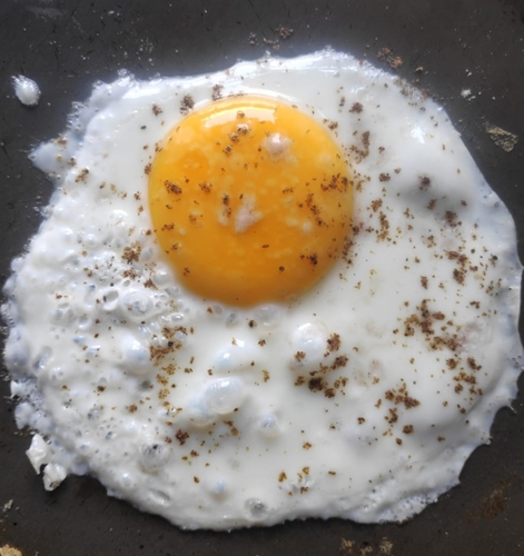 Egg (half fried egg)